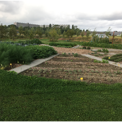 Moestuinondersteuning